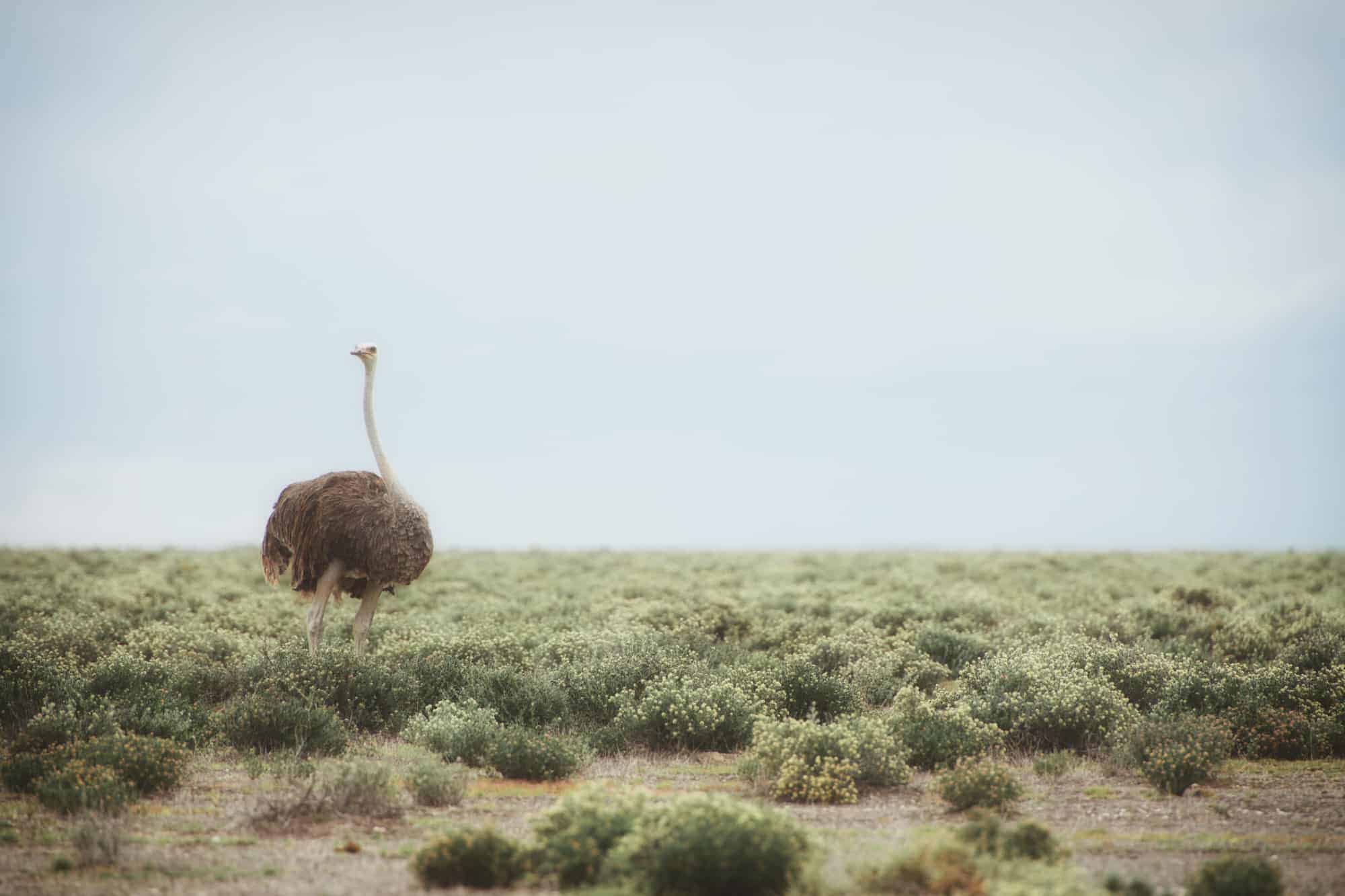 037-25-01-23-portfolio-travel