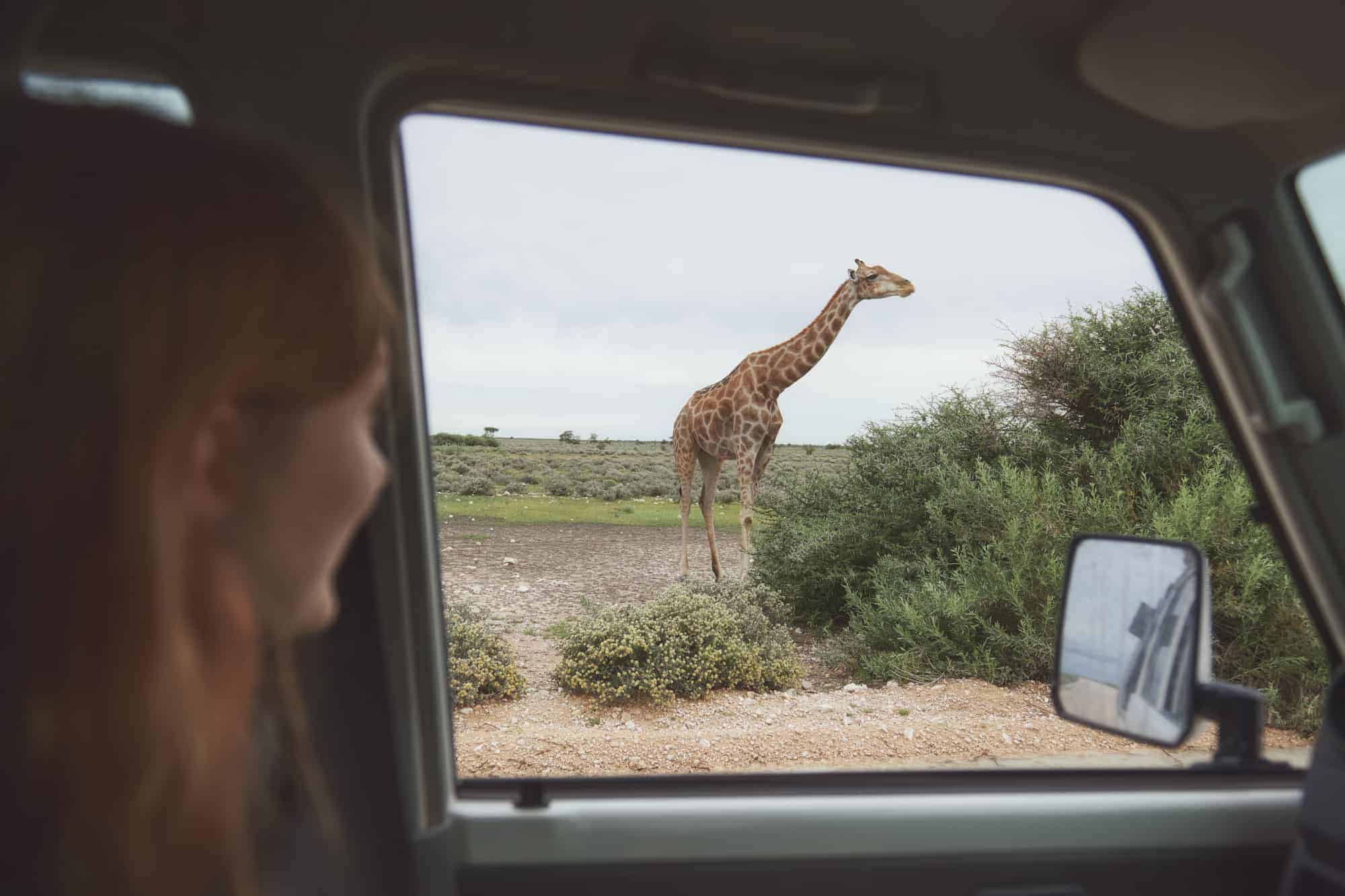 042-25-01-23-portfolio-travel