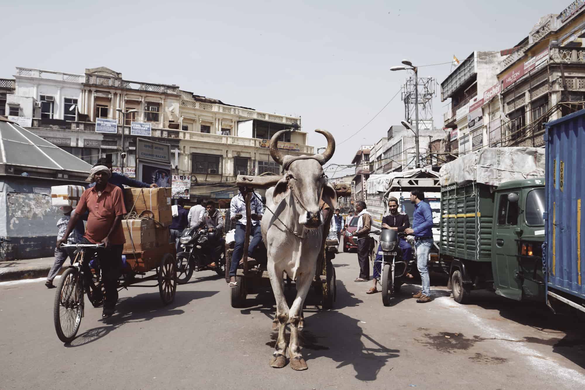 136-25-01-23-portfolio-travel